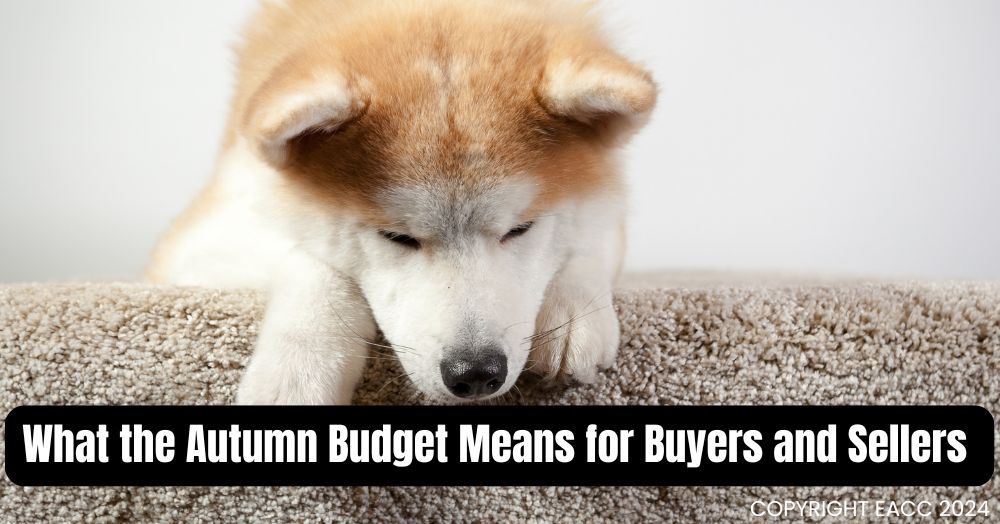 What the Budget Really Means for Buyers and Sellers