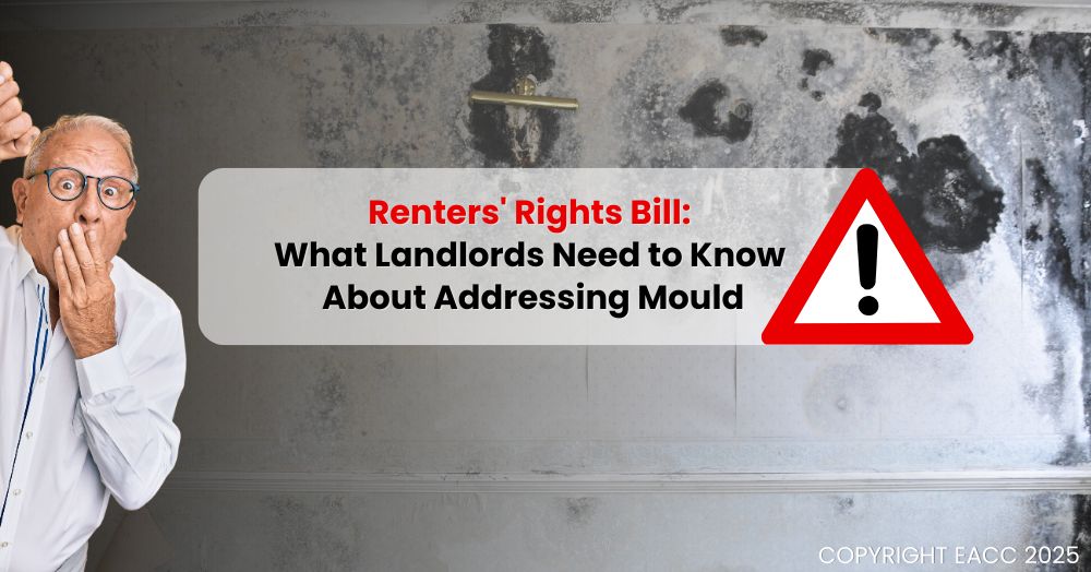 Renters' Rights Bill: What Landlords Need to Know About Addressing Mould